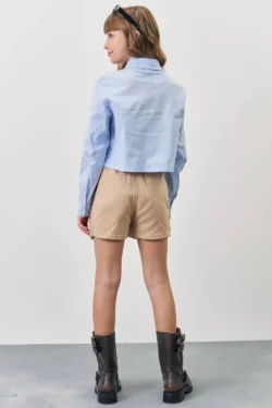 Alternative view of Falda Plisada