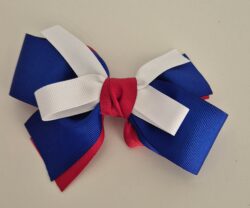 Lazo colores patrios