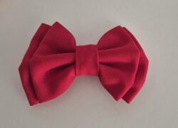 Lazo rojo simple